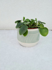 Batik Clay Pot - Green