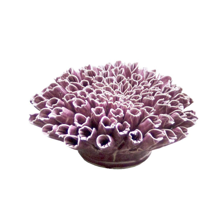 Anemone Large Purple