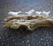 Four white birds on driftwood