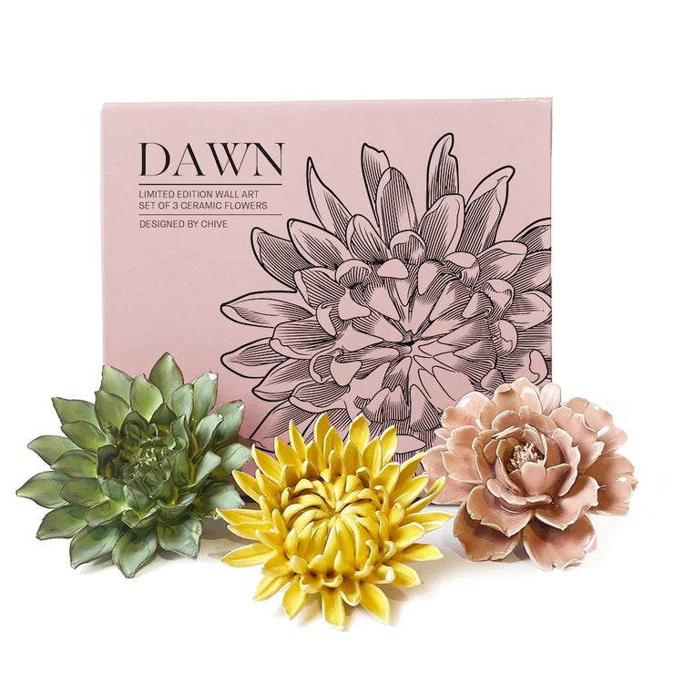 Chive Dawn gift box