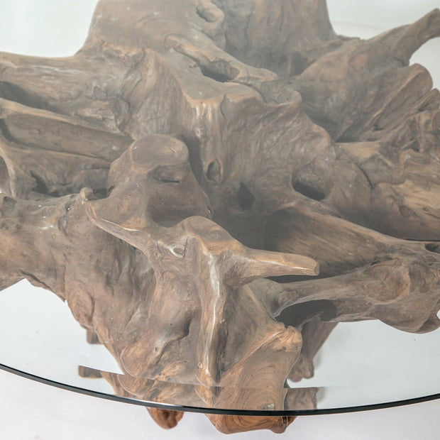 Large Teak Root with 48" glass